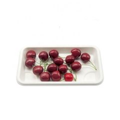 Reasonable Price Eco Biodegradable Compostable Disposable Tray
