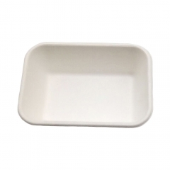 Disposable Bagasse tray biodegradable sugarcane food trays