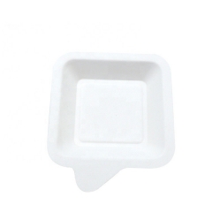 Plateau de canne à sucre jetable de bagasse de plateau biodégradable pour le gâteau