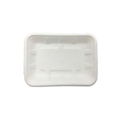Eco friendly degradable rectangle biodegradable disposable sushi tray for food packaging