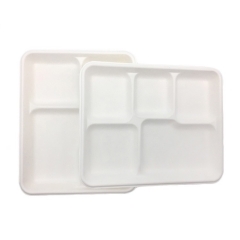 Eco Friendly Takeout Sugarcane 5 Compartment Disposables Food Tray