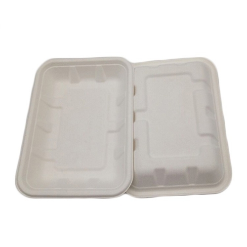 Biodegradable Sugarcane Bagasse Trays Disposable Tray Factory Direct Cheap