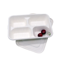 Takeaway packaged 100% degradable sugarcane lunch box