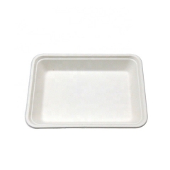 Eco Friendly compostable food sugarcane bagasse tray