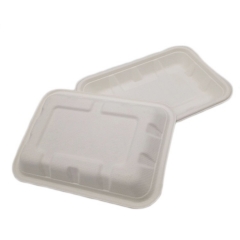 Bandeja de comida rectangular blanca disponible biodegradable amistosa de eco