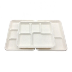 Δίσκος ζαχαροκάλαμου Μπαγκάς Μίας χρήσης 5 Διαμερίσματα Λιπασματοποιήσιμο Δίσκοι Τροφίμων