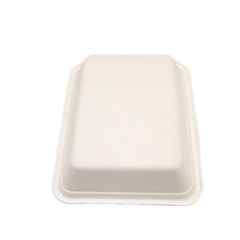 Eco-friendly portable disposable biodegradable rectangle sugarcane meat tray