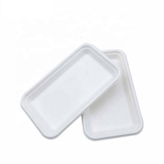 Disposable Tableware Eco Friendly Bagasse Sugarcane trays for Food