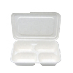 Takeaway packaged 100% degradable sugarcane lunch box