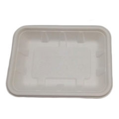 Eco friendly disposable compostable sugarcane bagasse fruit tray