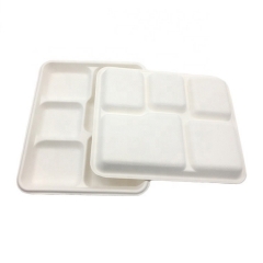 Disposable biodegradable sugarcane pulp department food tray for party