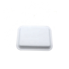 Manufacturer supply hot sale biodegradable trays sugarcane disposable eco friendly biodegradable trays food tray