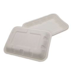 High Quality Compostable Biodegradable Disposable Tray Eco Friendly Sugarcane Pulp Tray