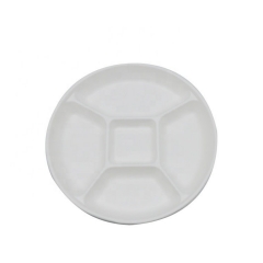 Multifunctional Disposable Biodegradable Sugarcane Pulp Food trays