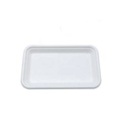 Disposable Tableware Eco Friendly Bagasse Sugarcane trays for Food