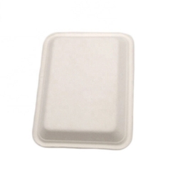 Eco Disposable 100% Biodegradable Compostable Bagasse Sugarcane Tray