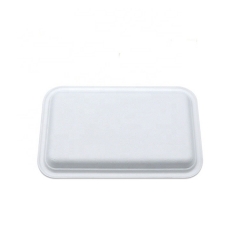 Disposable Biodegradable Compostable Bagasse Big Tray Sugarcane Tray