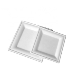 Disposable Compostable Bagasse Disposable Square Trays