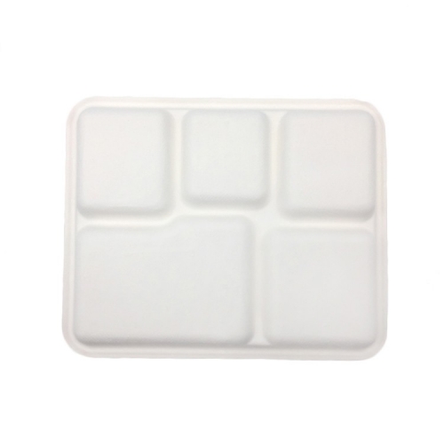 Hot Selling Disposable Biodegradable 5 Compartment Sugarcane Paper Food Tray