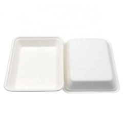 Plateau de bagasse de canne à sucre alimentaire compostable écologique