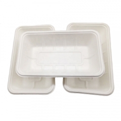 Biologisch abbaubares Tablett Kompostierbare Zuckerrohr-Bagasse-Lunch-Tabletts