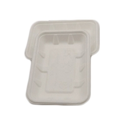 White Biodegradable Sushi Disposable Food Packaging Meat Trays