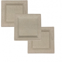 Disposable Compostable Bagasse Disposable Square Trays