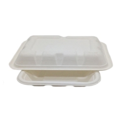 Vassoio per alimenti in bagassa compostabile usa e getta all'ingrosso per ristorante
