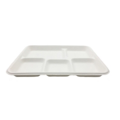 Hot Selling Disposable Biodegradable 5 Compartment Sugarcane Paper Food Tray