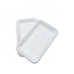 Disposable Tableware Eco Friendly Bagasse Sugarcane trays for Food