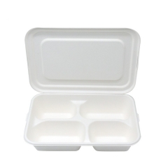 pulp sugarcane bagasse food tray