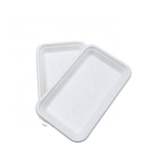 Disposable Biodegradable Compostable Bagasse Big Tray Sugarcane Tray