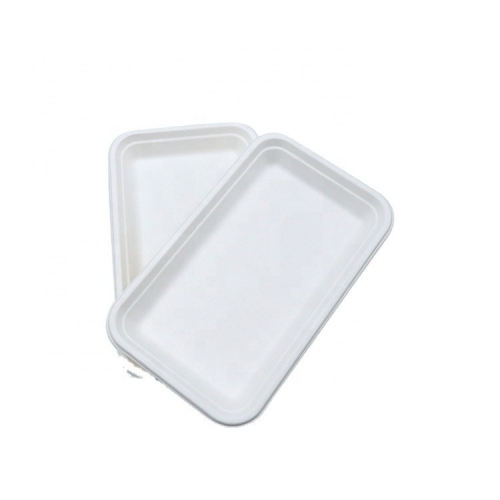 Plateau de canne à sucre biodégradable jetable compostable en bagasse grand plateau