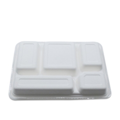 New Eco-friendly biodegradable 5 compartment sugarcane bagasse lunch tray