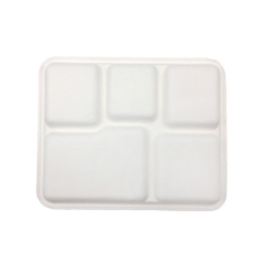 Disposable dinnerware Sugarcane 5 compartment tray Biodegradable food tray Packaging food tray