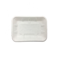 Disposable Biodegradable Sugarcane Bagasse Takeaway White Fruit Tray