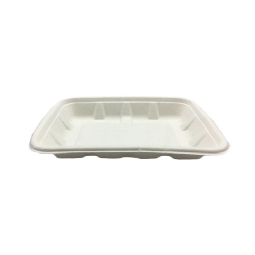 New design disposable biodegradable sugarcane bagasse paper tray for restaurant