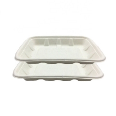 Disposable Fruit Tray Biodegradable Sugarcane Bagasse Takeaway White Trays