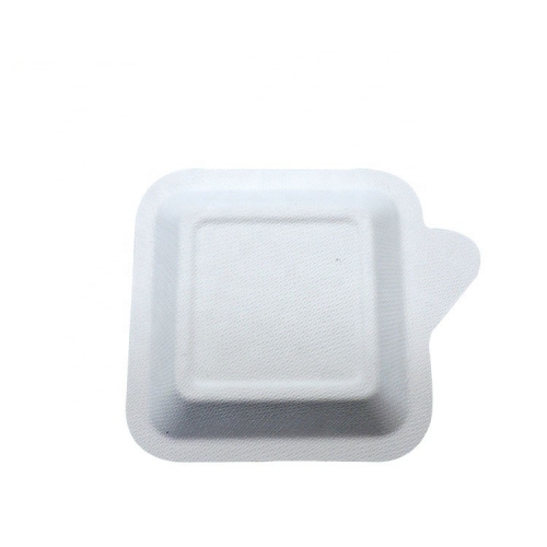 Plateau jetable Bagasse compostable Plateau de gâteau de canne à sucre jetable