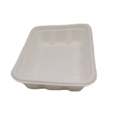 High Quality Compostable Biodegradable Disposable Tray Eco Friendly Sugarcane Pulp Tray