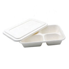 One-time biodegradable four-compartment food lunch box with lid