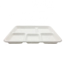 Sugarcane Tray Bagasse Disposable 5 Compartment Compostable Food Trays