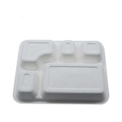 Newest Disposable 5 Compartment Biodegradable Bagasse Tray with Lid