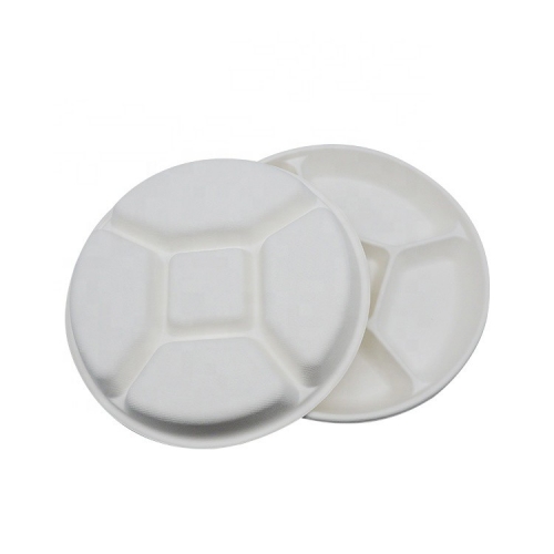 Multifunctional Disposable Biodegradable Sugarcane Pulp Food trays