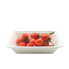 Plateaux alimentaires rectangulaires jetables biodégradables en bagasse imperméables et résistants à l'huile