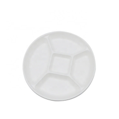 Multifunctional Disposable Biodegradable Sugarcane Pulp Food trays