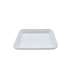 Manufacturer supply hot sale biodegradable trays sugarcane disposable eco friendly biodegradable trays food tray