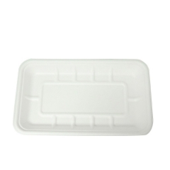 disposable serving tray decomposable biodegradable sugarcane bagasse tray