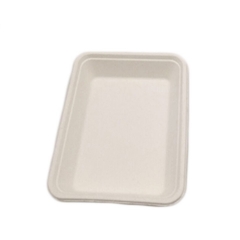 Wholesale Disposable Biodegradable Sugarcane trays Meat Tray For Sushi Tray