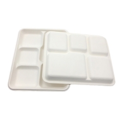 Disposable dinnerware Sugarcane 5 compartment tray Biodegradable food tray Packaging food tray